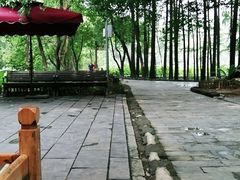 -东湖落雁景区