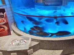 -湘阁里辣(大朗广场店)