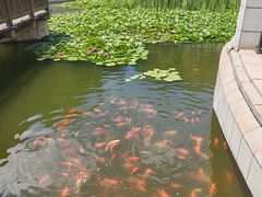 -将相和·海鲜蒸饺大连菜