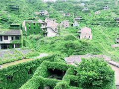 -枸杞岛