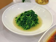 荠菜叶-海景壹号大酒店(滨湖店)