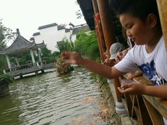 -武汉紫薇都市田园