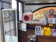 -宠爱国际动物医院·消化内科·心肾内科·ISFM猫友好(望京店)