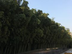 -上海市龙华烈士陵园