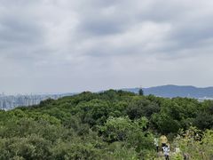 -灵岩山风景区