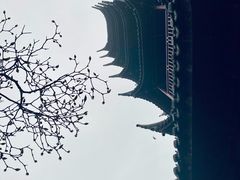 -红梅公园