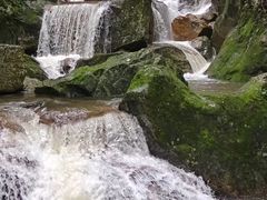 -牛背梁国家森林公园