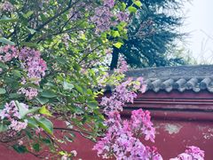 -尧庙景区