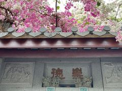 -深圳国际园林花卉博览园