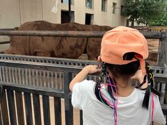 -鄂尔多斯野生动物园