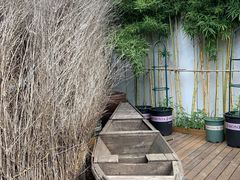 -树山生态村