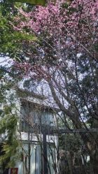 -莲生母婴月子中心(清水河公园店)