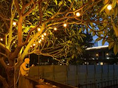 -喜洲吧·江畔老船厂·庭院餐厅(喜临院店)