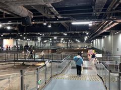 -南越王博物院(王宫展区)