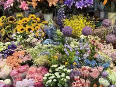 -花鸟鱼虫鲜花绿植市场(玉泉路店)