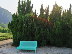 -南沙蒲洲花园