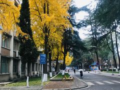 -四川大学(望江校区)