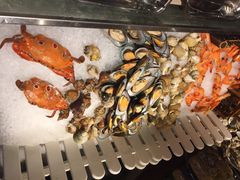 -厦门海沧正元希尔顿逸林酒店開全日餐厅