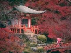 -醍醐寺