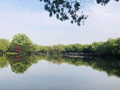 -西湖外事游船(花港观鱼码头)