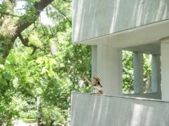 -湖北美术学院(昙华林校区)