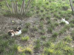 -元大都城垣遗址公园