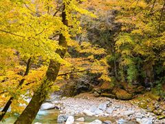 -光雾山旅游景区