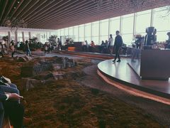 -Seesaw Coffee(朝阳大悦城店)