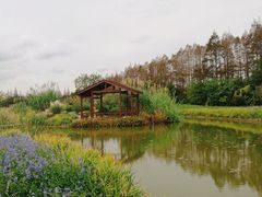 景点-上海长兴岛郊野公园