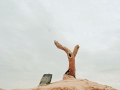 -敦煌雅丹国家地质公园