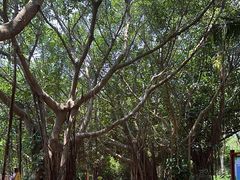 -白沙门生态公园