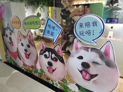 -Husky Go! 哈士奇体验馆·宠物咖啡厅狗咖