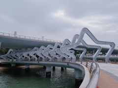-演武大桥观景平台