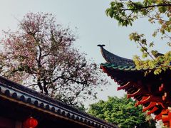 -光孝寺