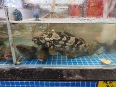 -隐厨·海鲜餐厅(恒通路店)