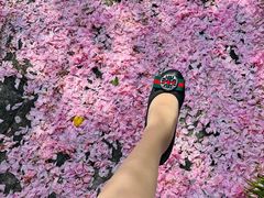 -高东镇樱花园