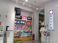 -爱洗澡的猫(望京店)