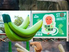 -杭州野生动物世界