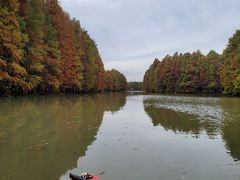 -上海海湾国家森林公园