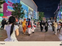 -不倒翁·安徽名菜楼(步行街店)