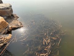 -张家湾公园
