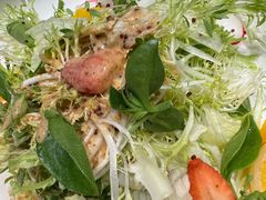 蔬菜沙拉-四世同堂·京菜·烤鸭(双井店)