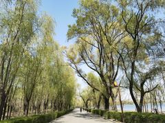 -长春市南湖公园