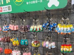 -椿记烧鹅(叠彩店)