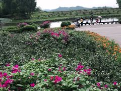 -邓小平故里