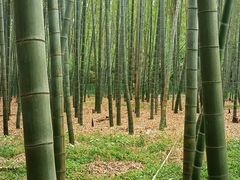 -同里国家湿地公园