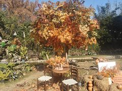 -HERRE·FARM 赫尔露营农场·团建聚会包场