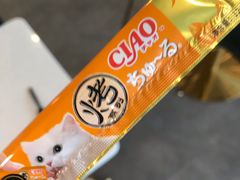 -飞行喵MR PILOT|猫舍·猫咖(静安大融城店)