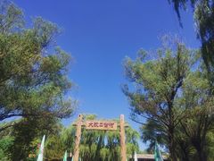 -太阳部落