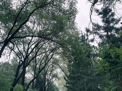 -北陵公园